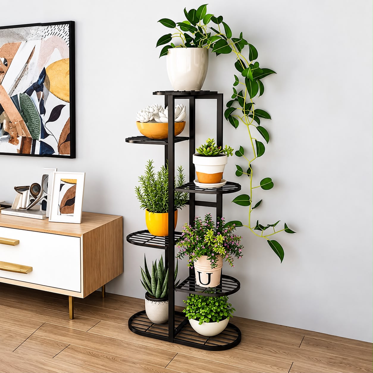 Snake Plant Laurentii
