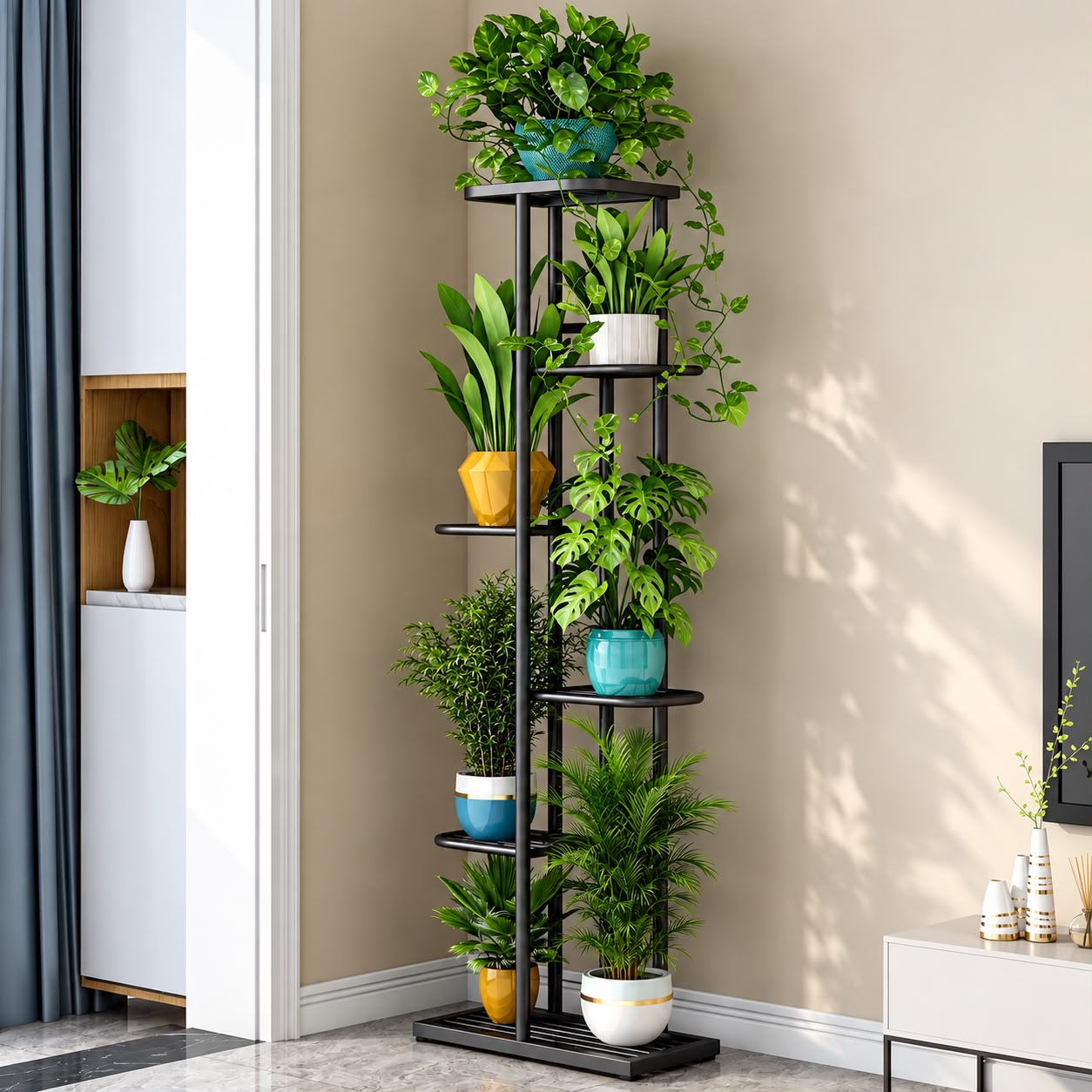 ZZ Plant
