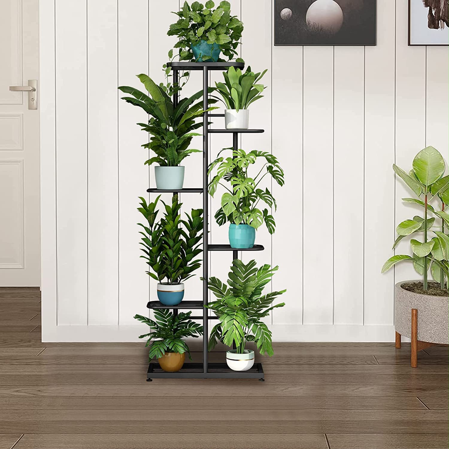 Monstera Deliciosa